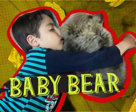 Baby Bear Finds a Home in a Muslim Family!
