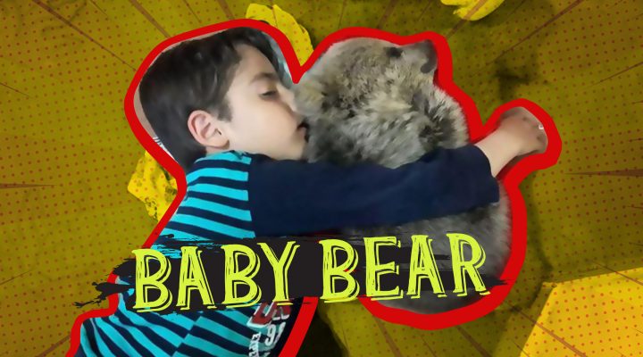 Baby Bear Finds a Home in a Muslim Family!