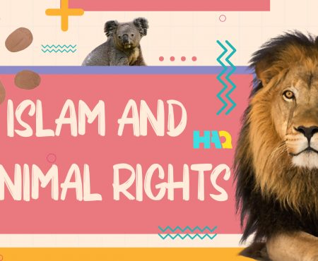 World Animal Day: Animal Rights in Islam