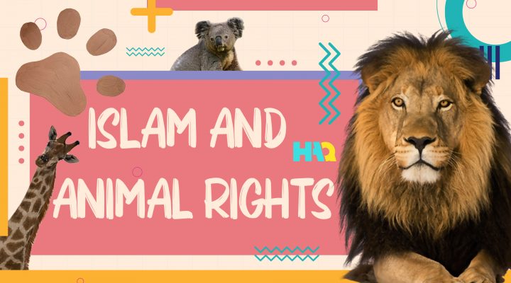 World Animal Day: Animal Rights in Islam