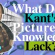 What Does Kant’s Picture of Knowledge Lack?